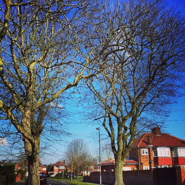 BUILT STRUCTURE WITH TREES IN BACKGROUND