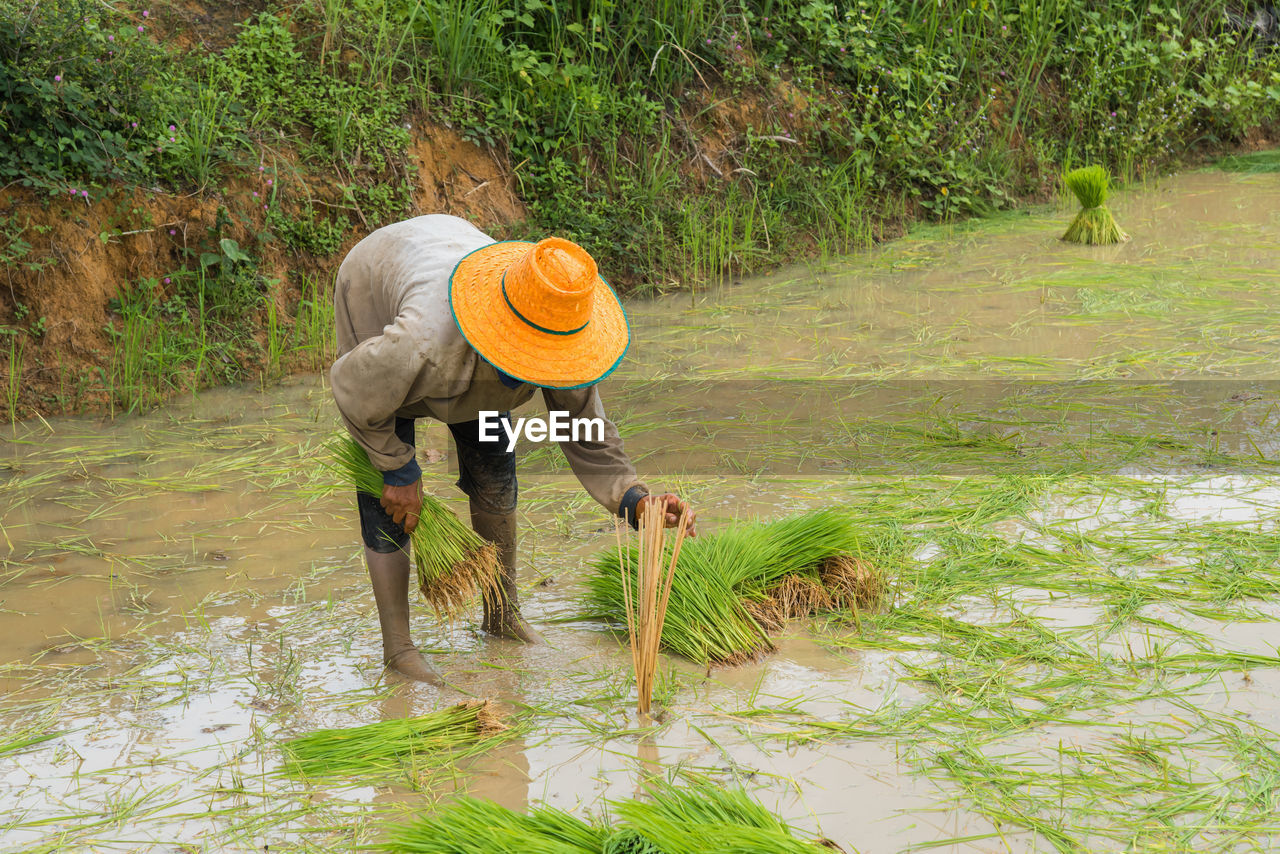 Woman working at farm