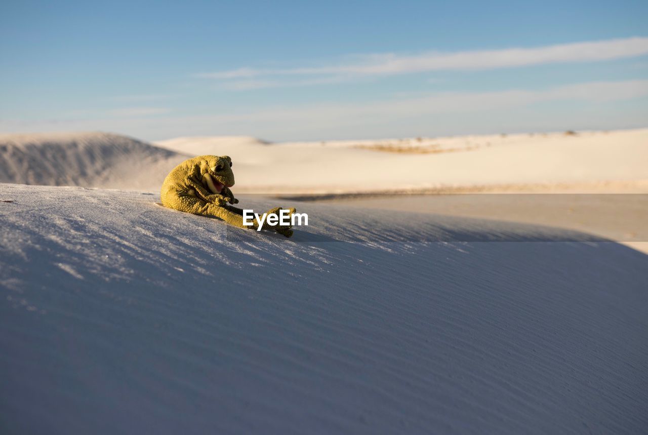 Toy animal on snow covered landscape against sky