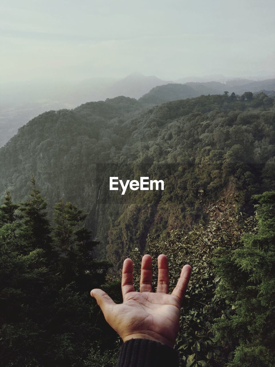 Close-up of hand against green mountain during foggy weather