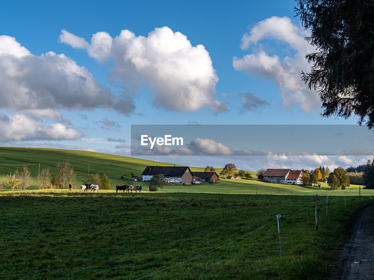 FIELD AND HOUSES AGAINST SKY