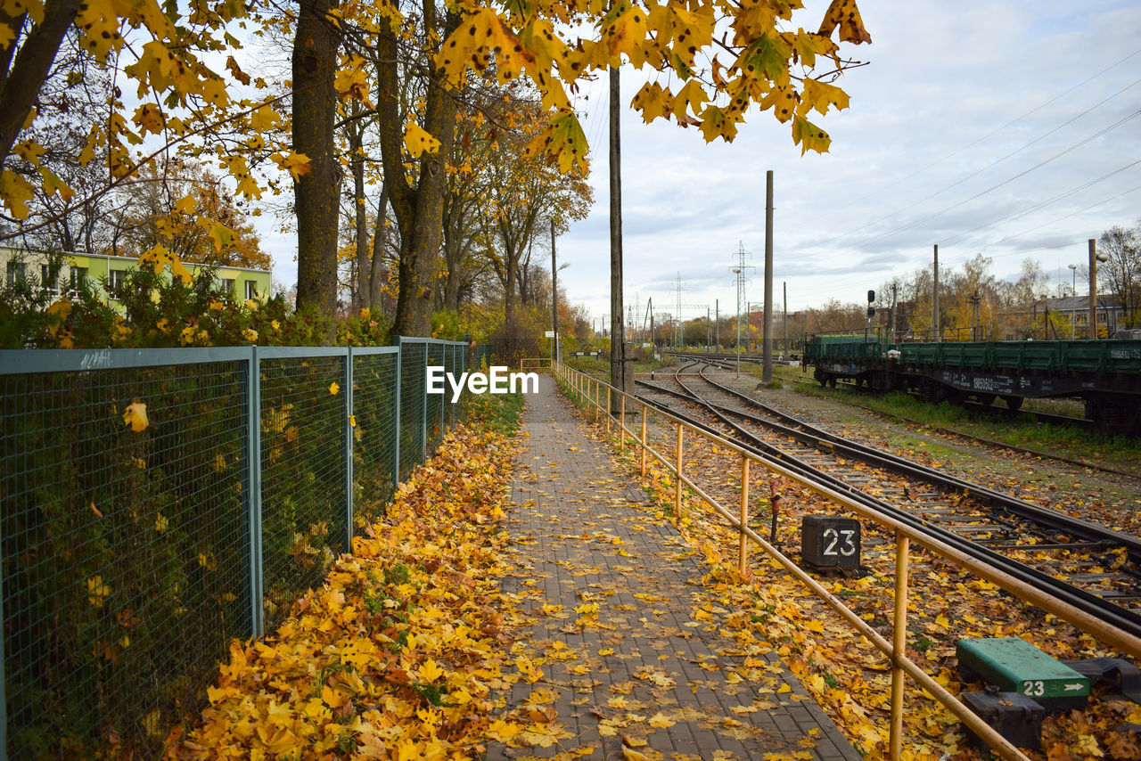 autumn, tree, plant, nature, rail transportation, track, railroad track, transport, transportation, leaf, sky, plant part, no people, day, fence, outdoors, yellow, sunlight, beauty in nature, architecture, mode of transportation, morning, tranquility, landscape, flower, railway, travel, residential area, urban area, train, city