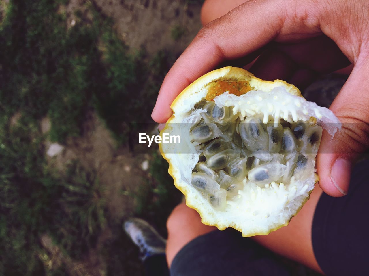 Midsection of person holding fruit