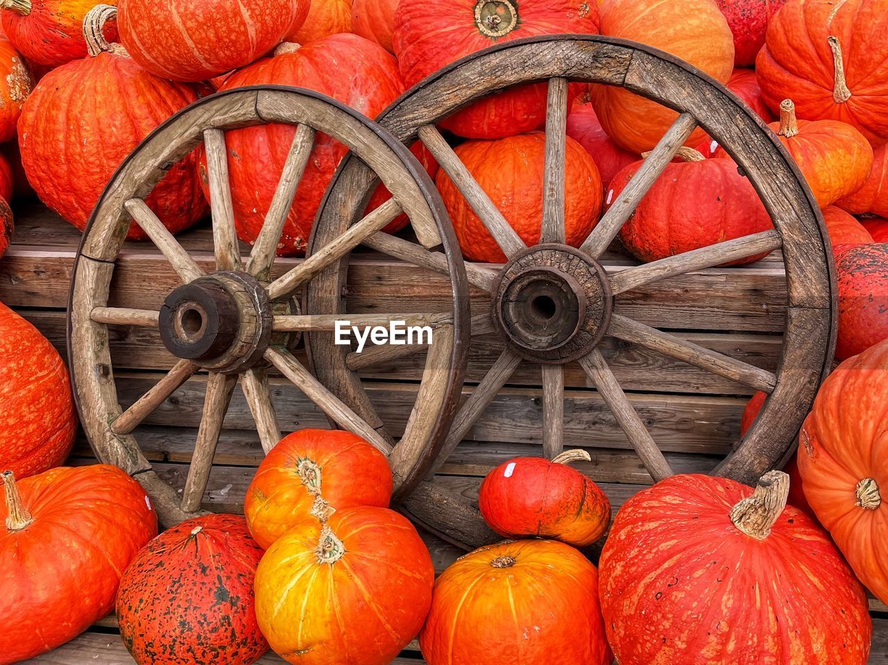 pumpkin, food and drink, food, orange color, large group of objects, no people, squash, wood, vegetable, produce, abundance, wheel, day, healthy eating, red, outdoors, autumn, backgrounds, plant, freshness, shape, celebration, agriculture