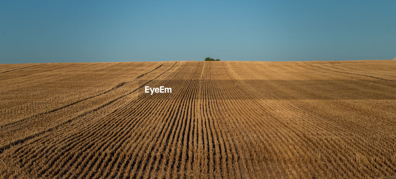 SCENIC VIEW OF LAND AGAINST CLEAR SKY