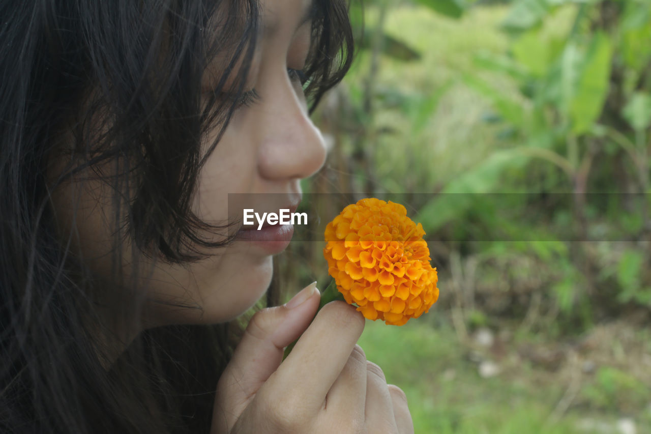 Close-up of woman holding yellow marigold flower