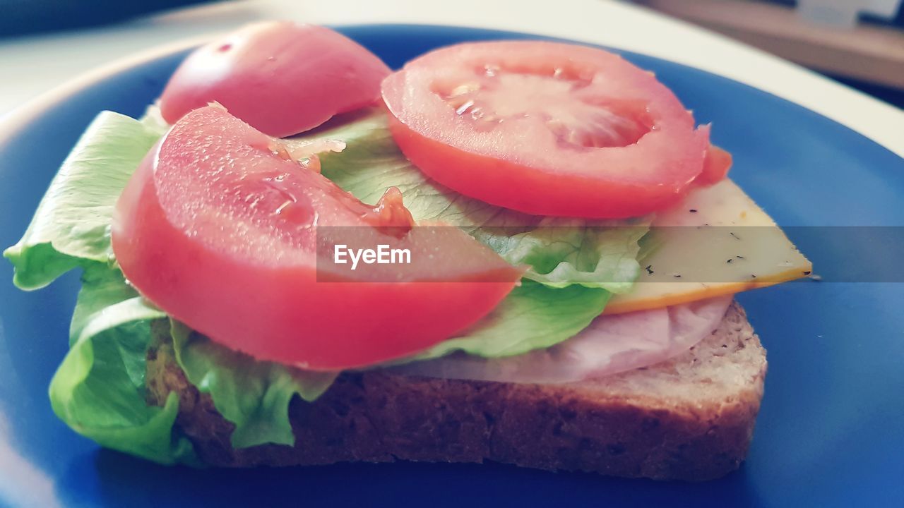 CLOSE-UP OF SLICES OF FRESH BREAD