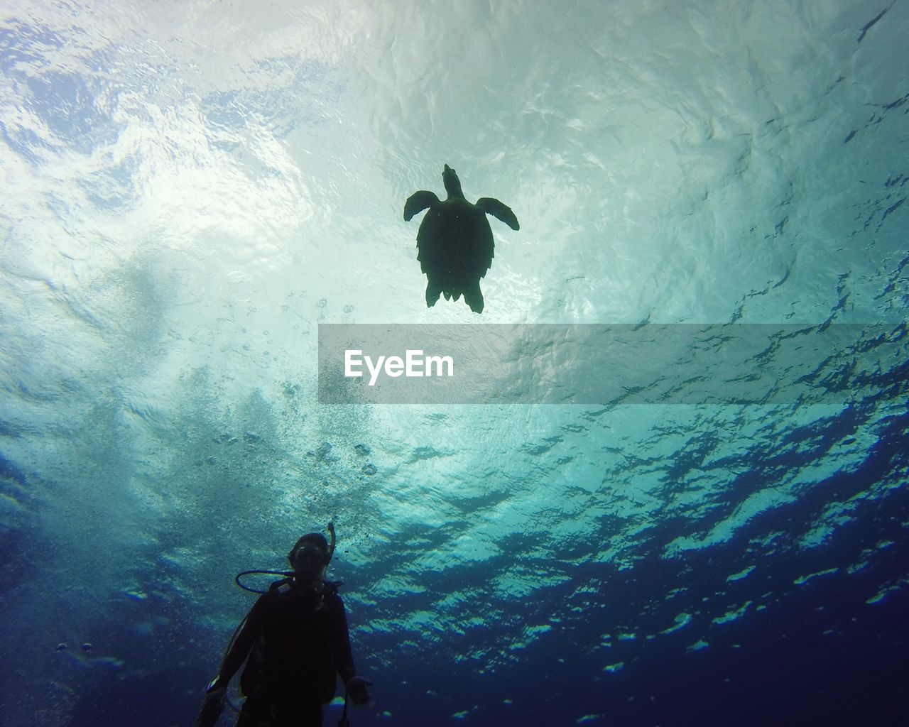 Low angle view of woman snorkeling undersea