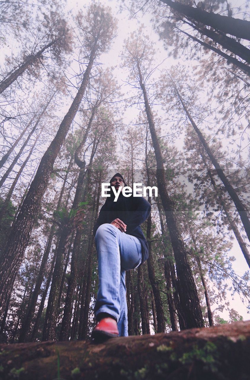 LOW ANGLE VIEW OF YOUNG MAN IN FOREST