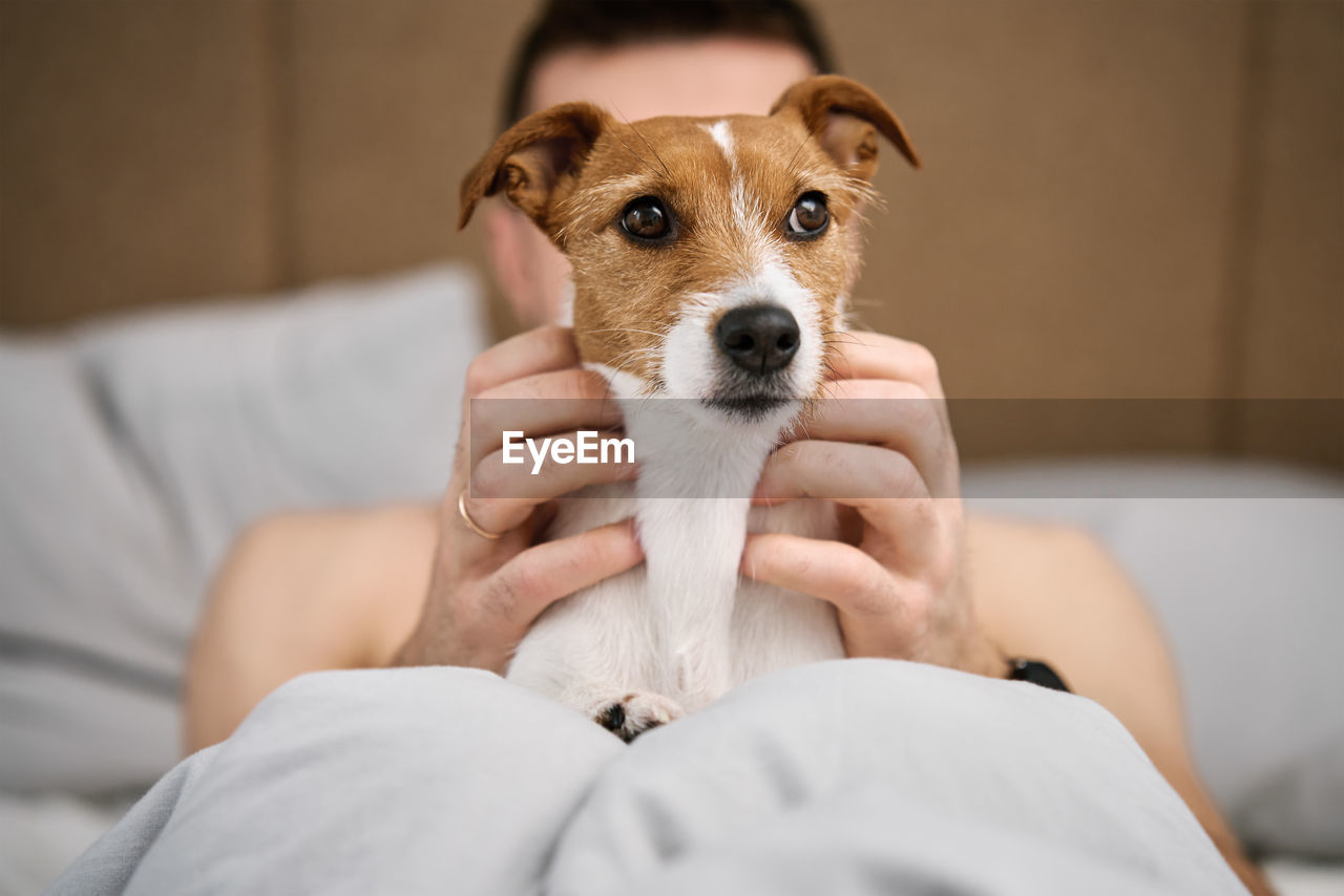 Man sleeping on bed with dog. pet affection