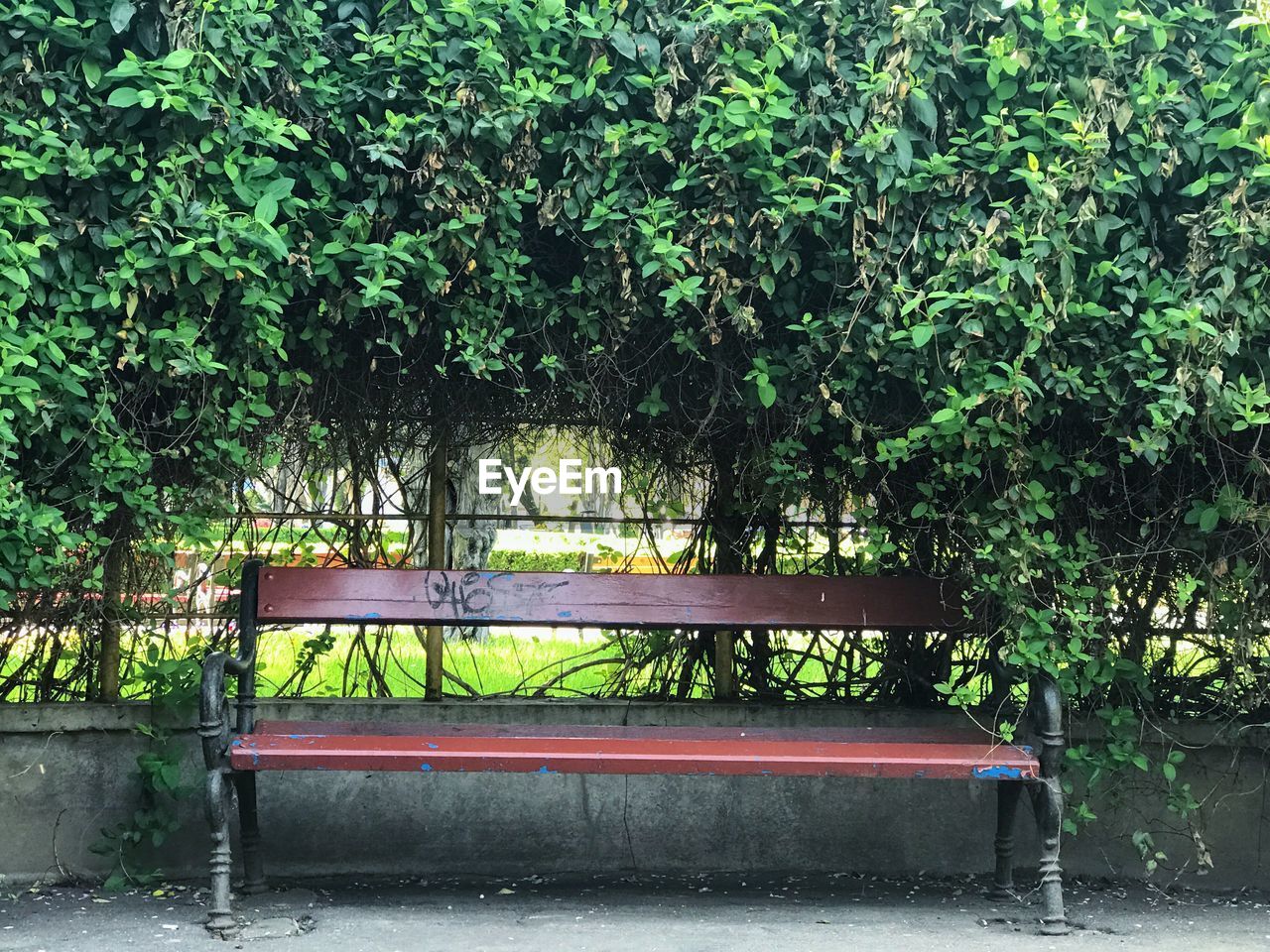 EMPTY BENCH IN PARK AGAINST TREES IN BACKGROUND