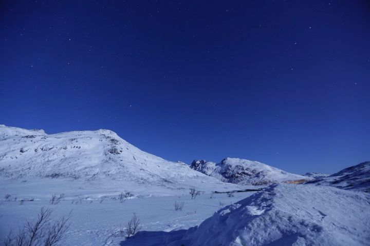 SNOW COVERED LANDSCAPE