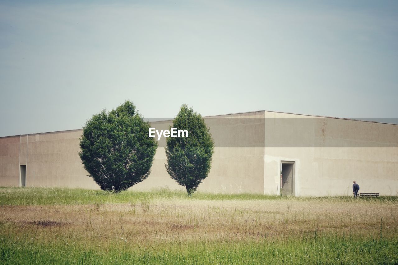 TREES ON FIELD AGAINST SKY