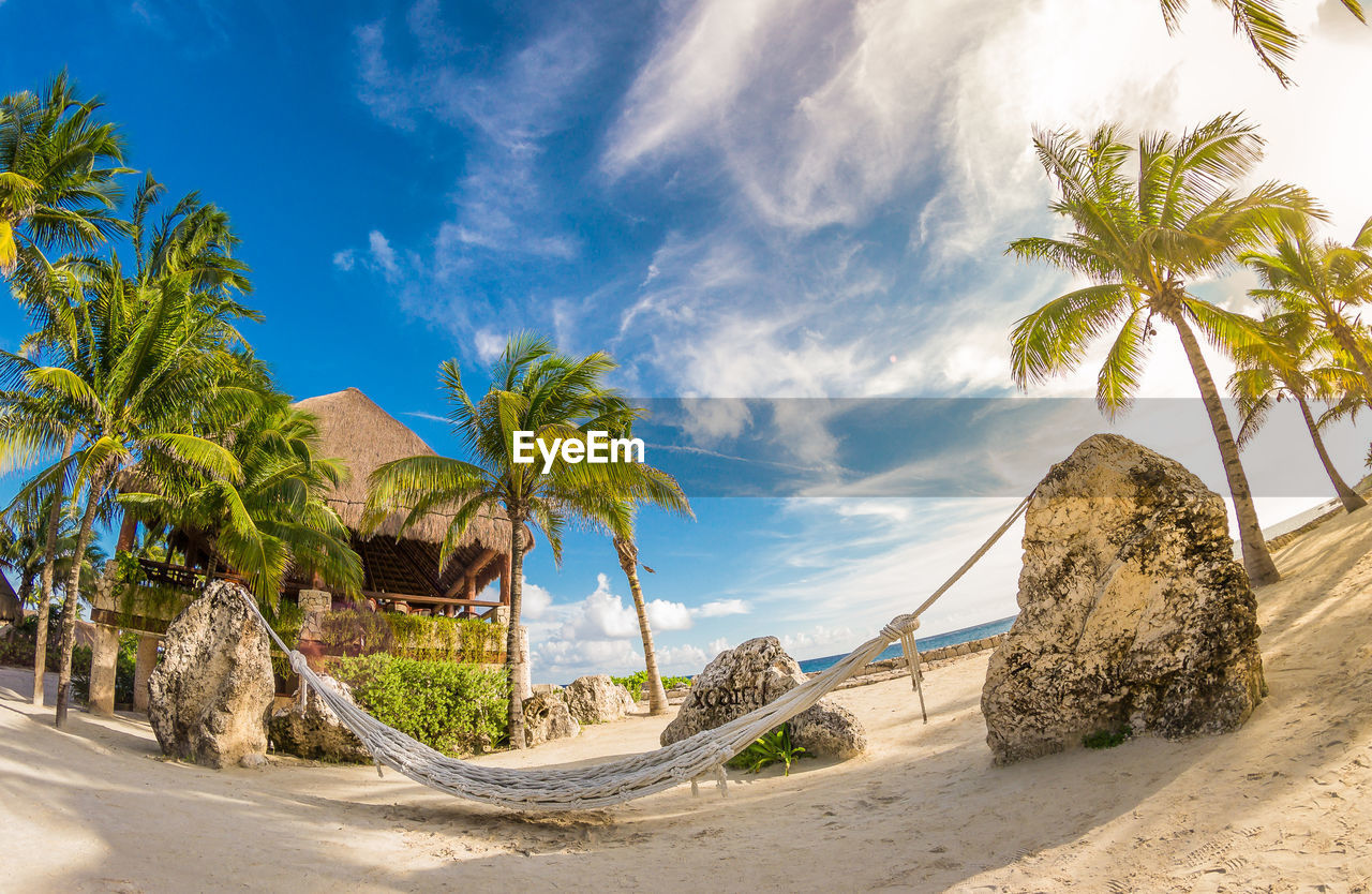 Amazing tropical seascape view on the beach. palms and sunny summer weather in xcaret, mexico 