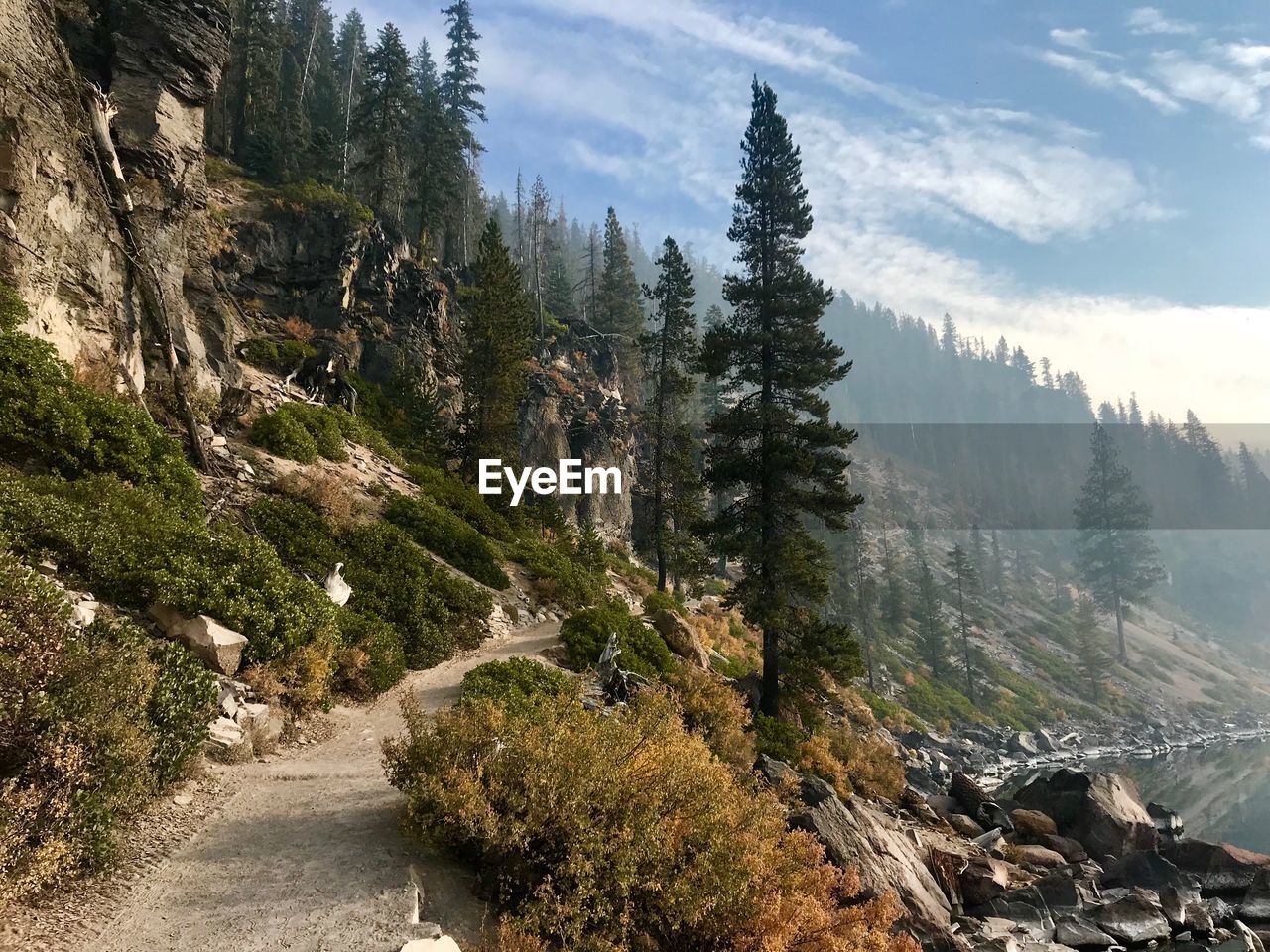 PANORAMIC SHOT OF ROAD AMIDST TREES AGAINST SKY