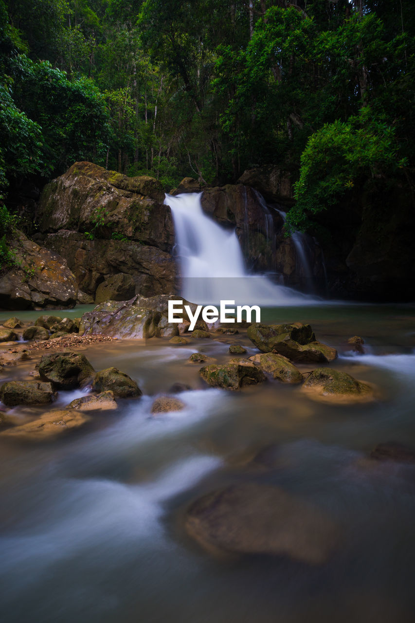 Peaceful view of waterfall in forest