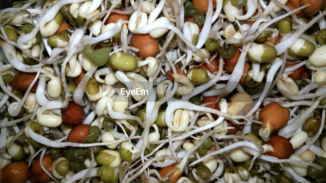 HIGH ANGLE VIEW OF CHOPPED VEGETABLES IN CONTAINER