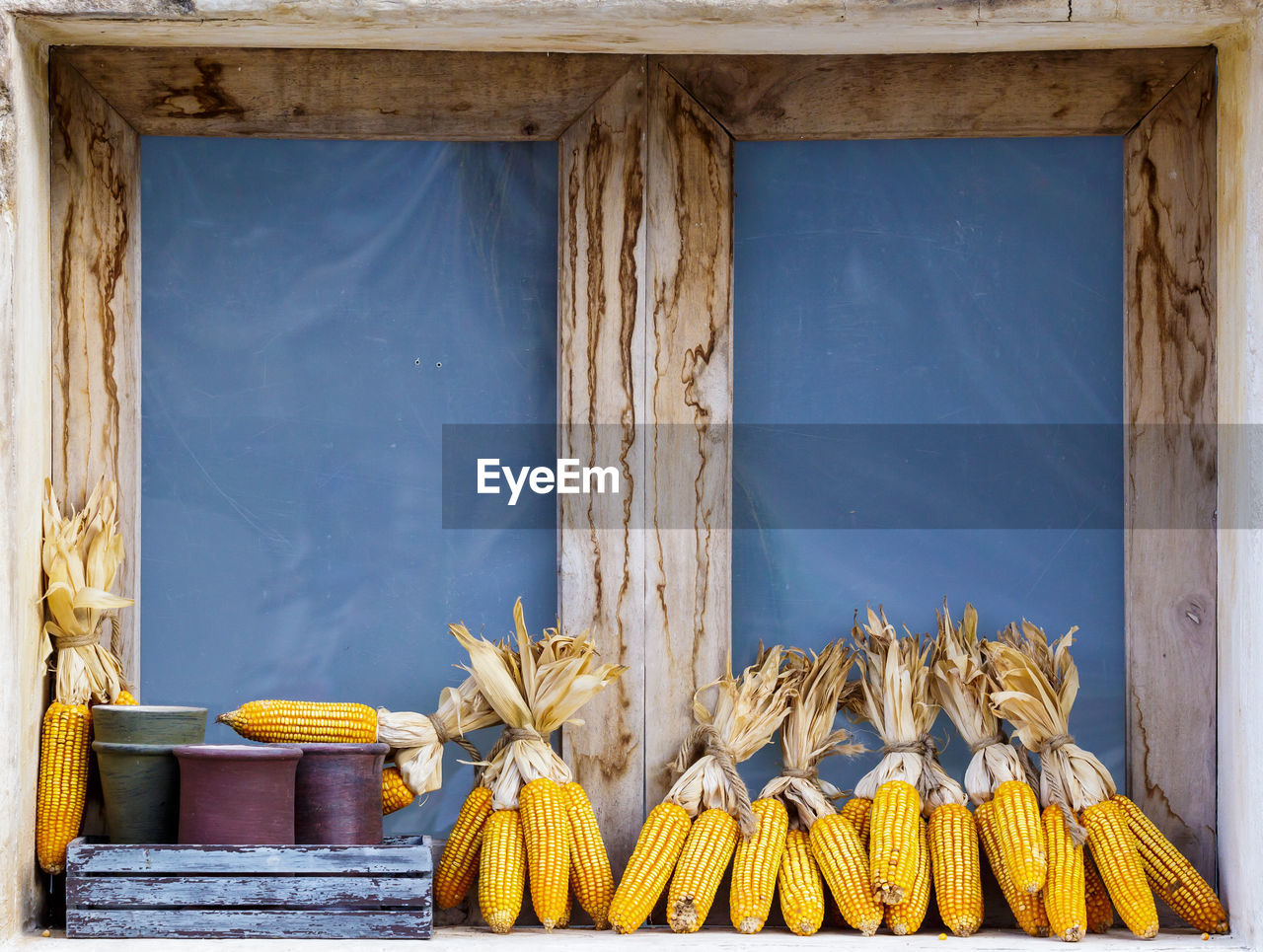 Corns on window sill