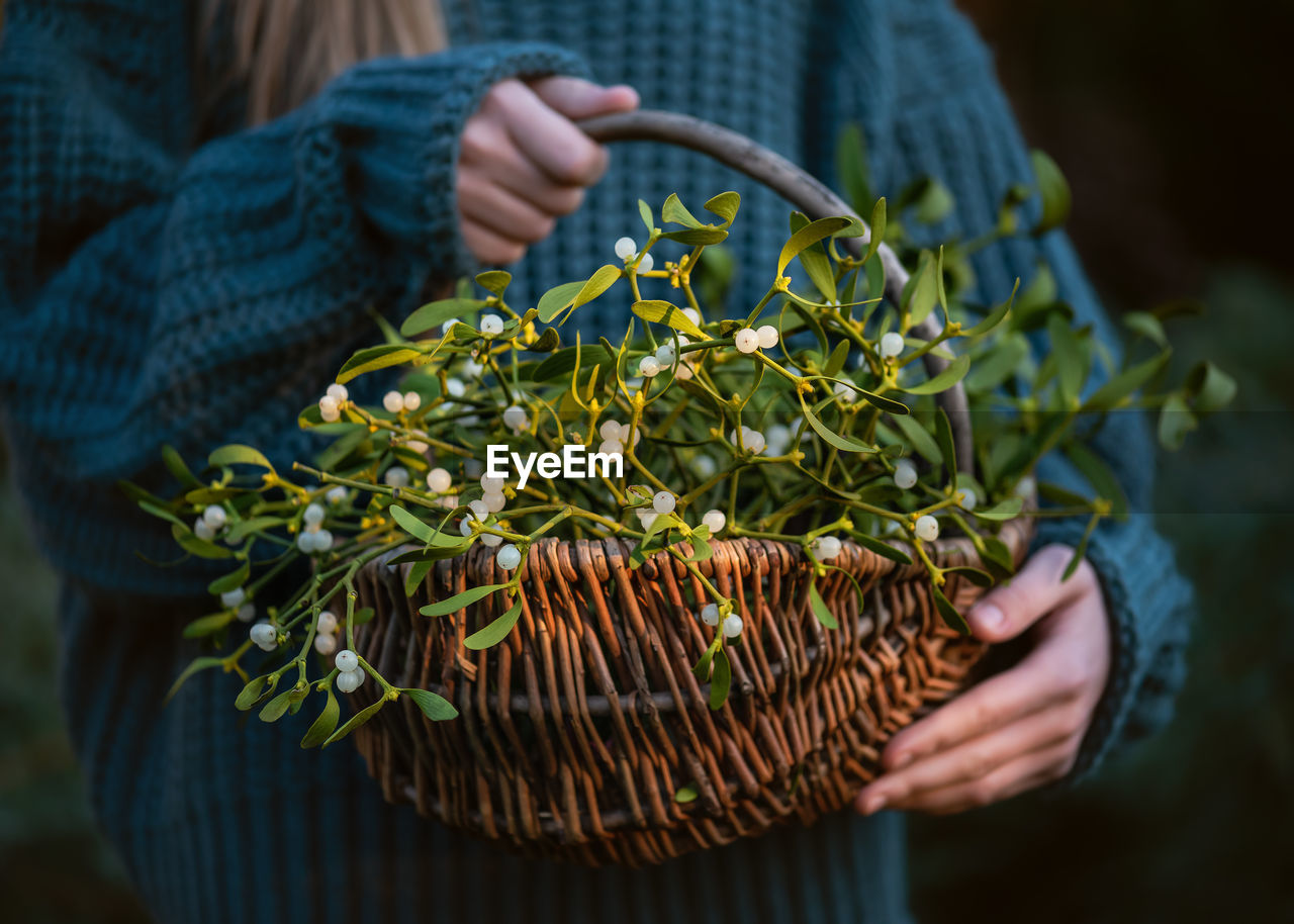 Young girl holding a wicker basket with mistletoe branches with green leaves and white berries.