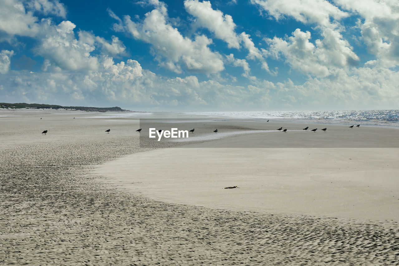 SCENIC VIEW OF SANDY BEACH AGAINST SKY