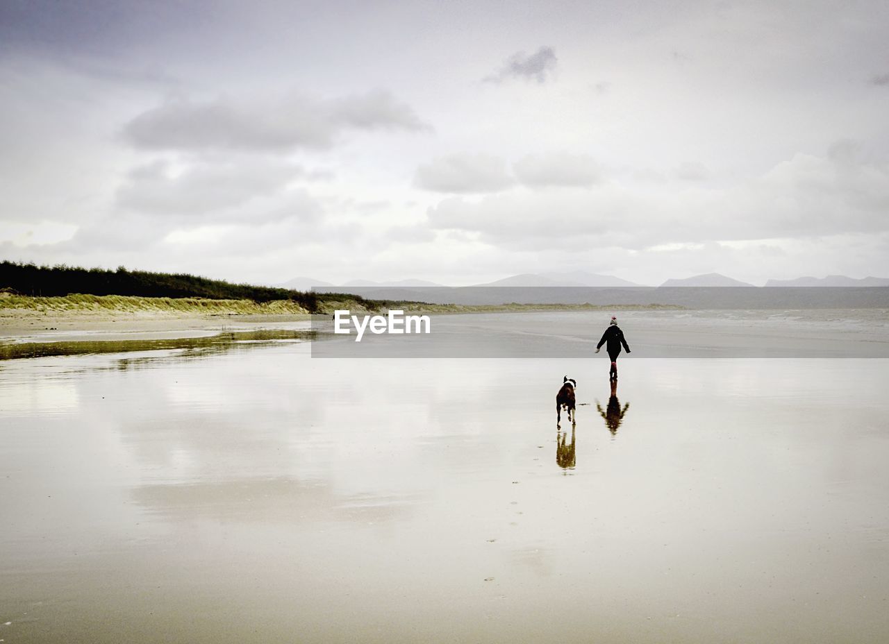 Person and dog walking on beach against sky