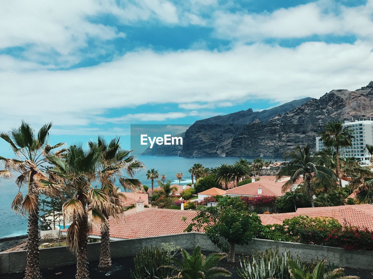 Palm trees by sea against sky