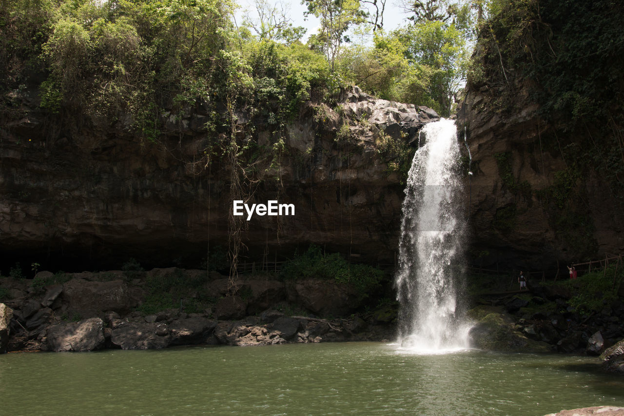 Scenic view of waterfall in forest