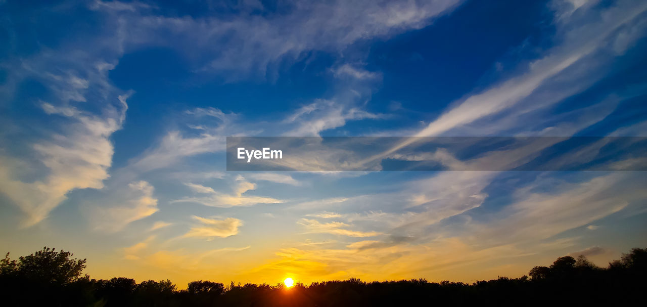 Low angle view of silhouette trees against sky during sunset