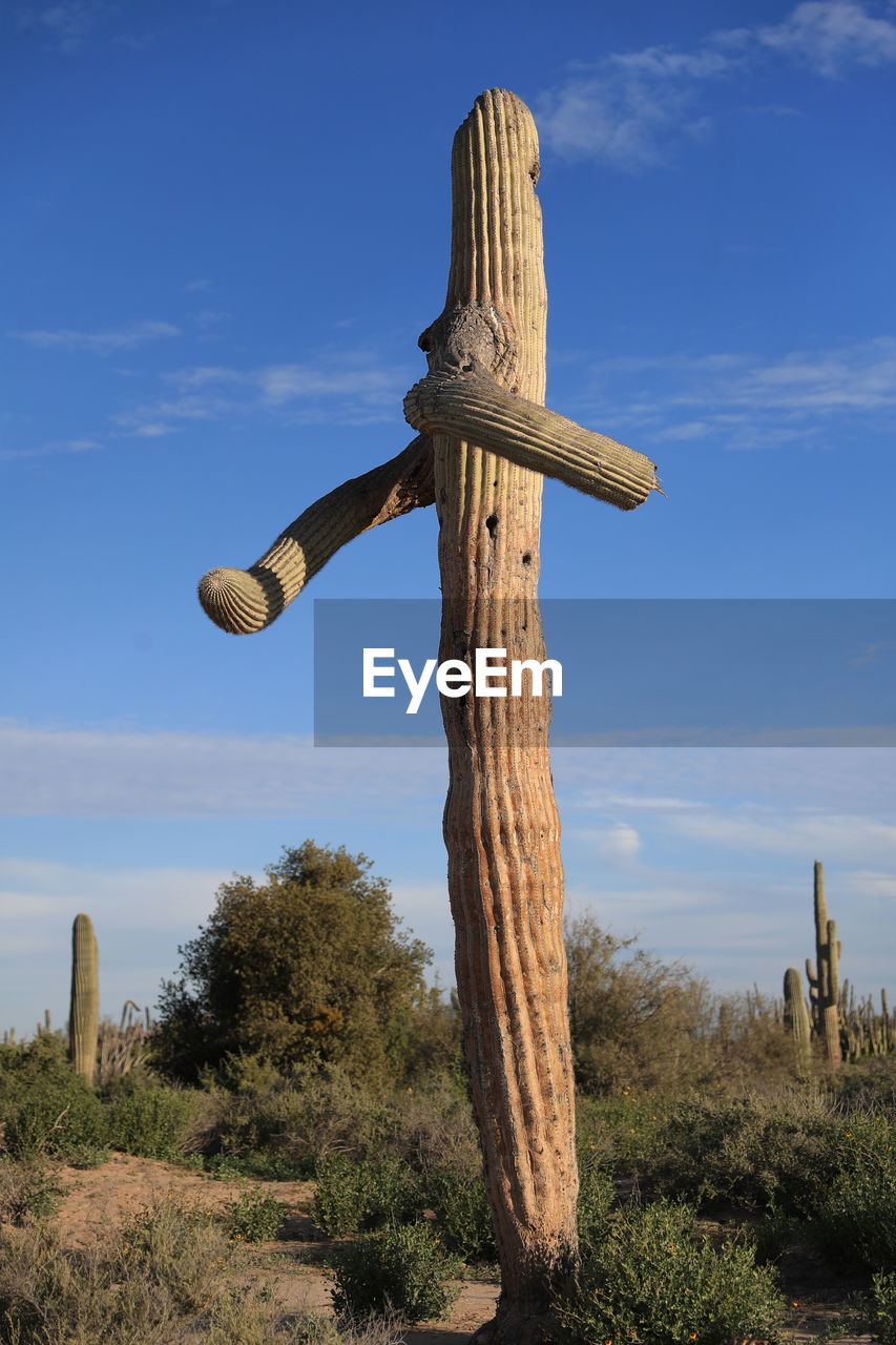 Low angle view of wooden post on field against sky