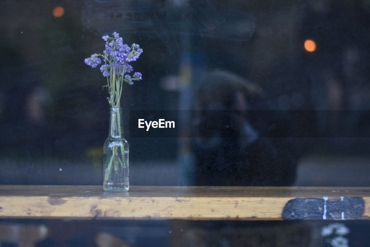 Purple flowers in bottle on table seen through window glass