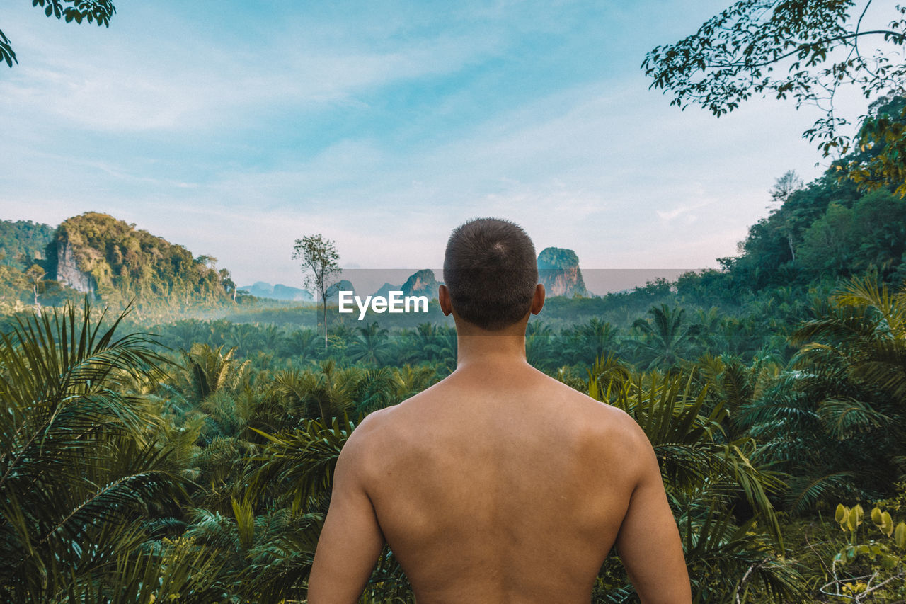 Rear view of shirtless man standing in forest against sky