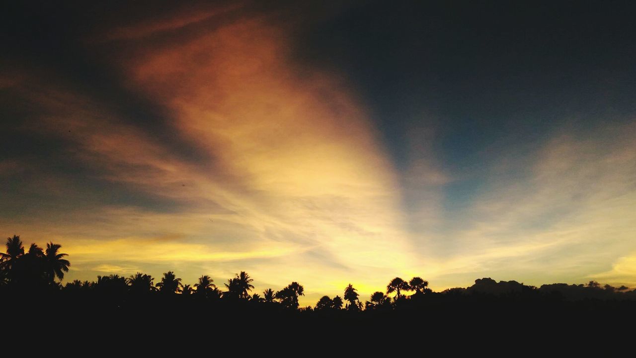 SILHOUETTE TREES AGAINST DRAMATIC SKY DURING SUNSET