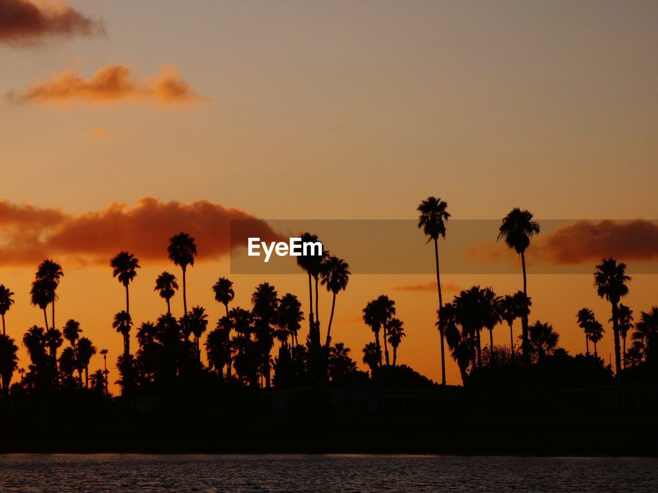 Silhouette palm trees against sky during sunset