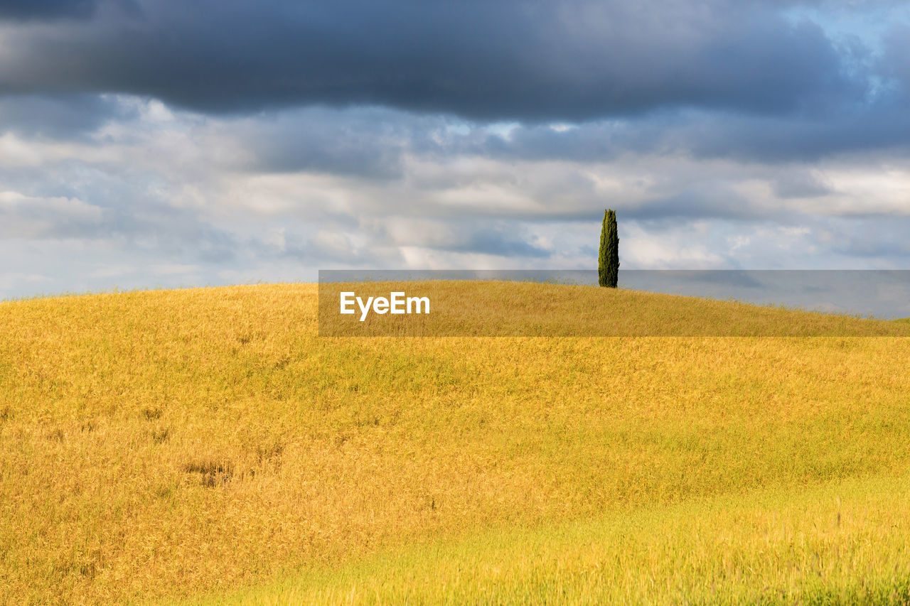 SCENIC VIEW OF FARM AGAINST SKY