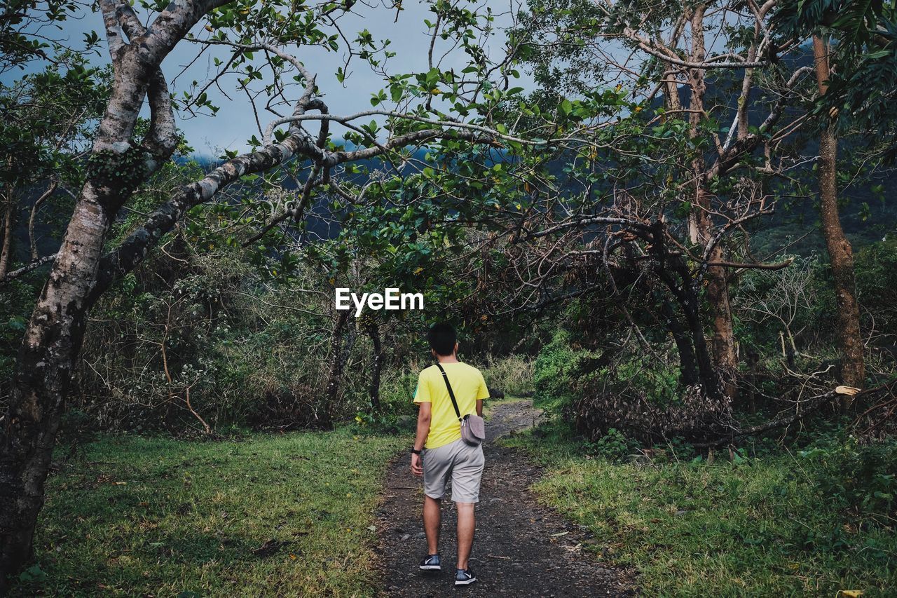 Rear view of man exploring forest