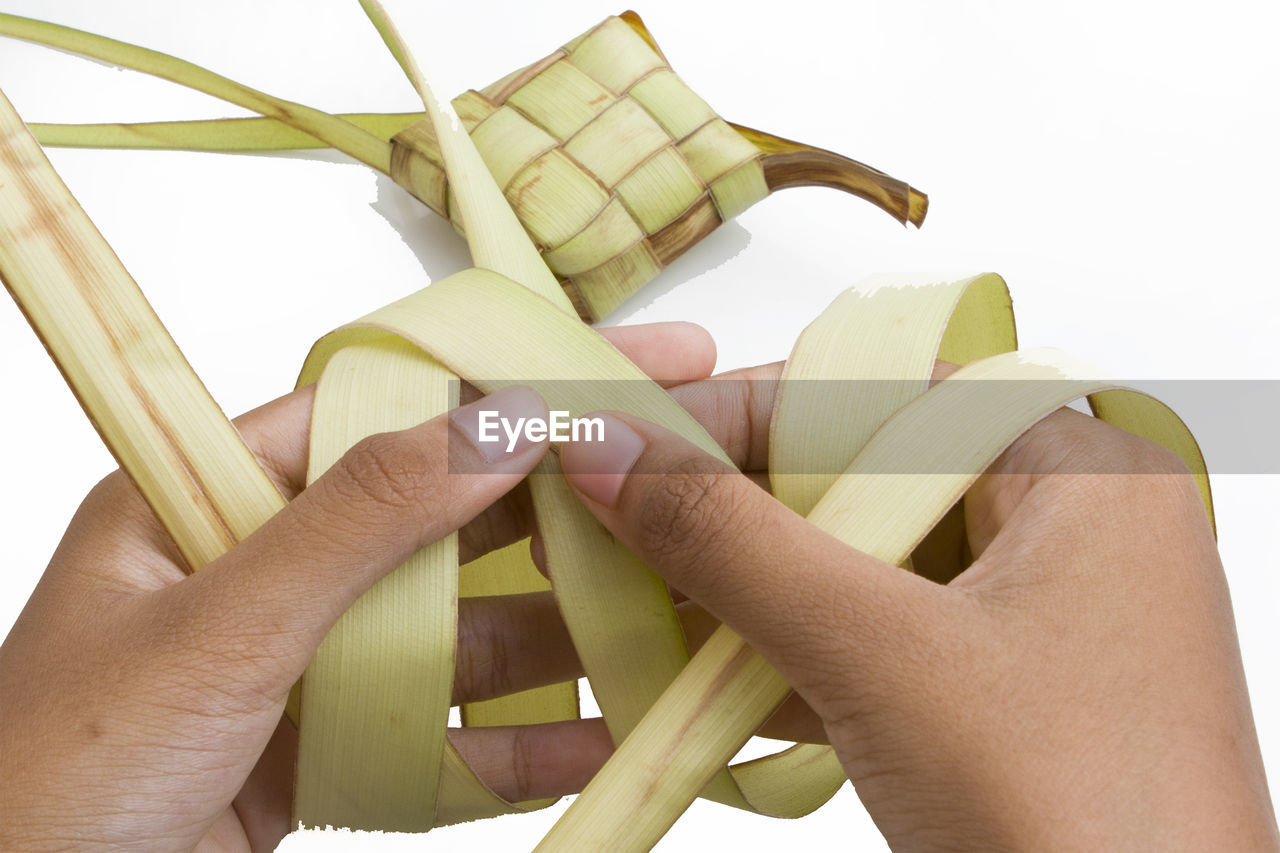 Cropped hands of person holding palm leaves against white background