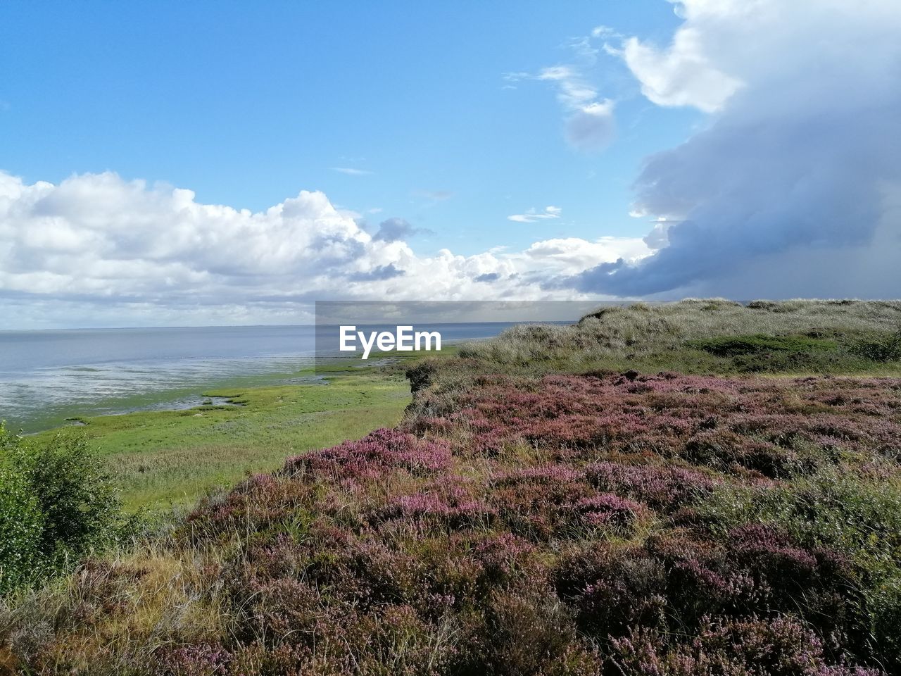 SCENIC VIEW OF LAND AGAINST SKY