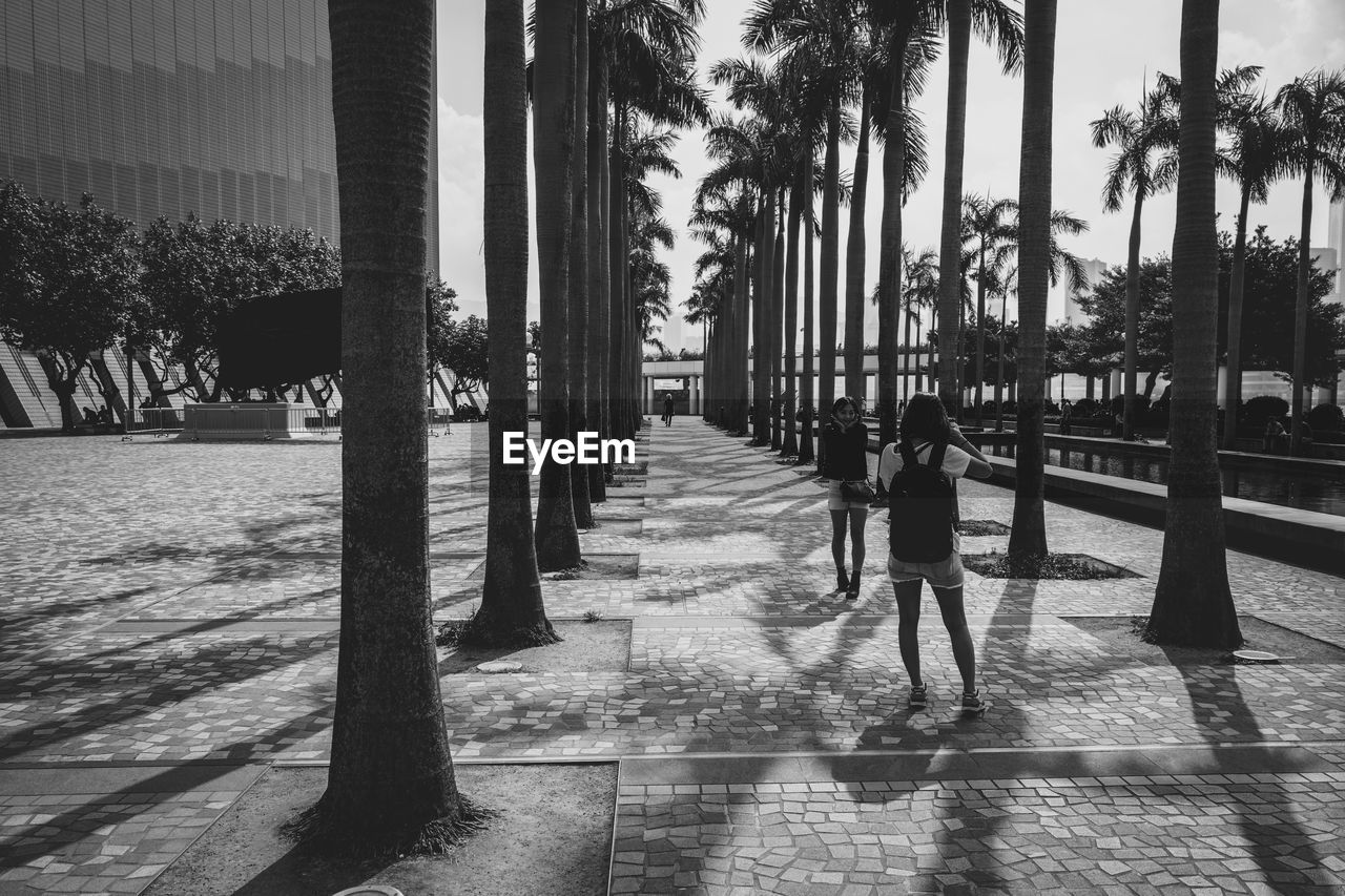 PEOPLE ON PALM TREES ALONG WATER