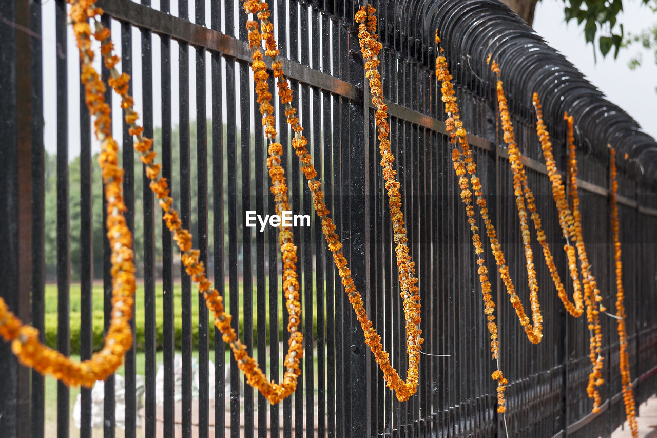 Close-up of garlands hanging on railing