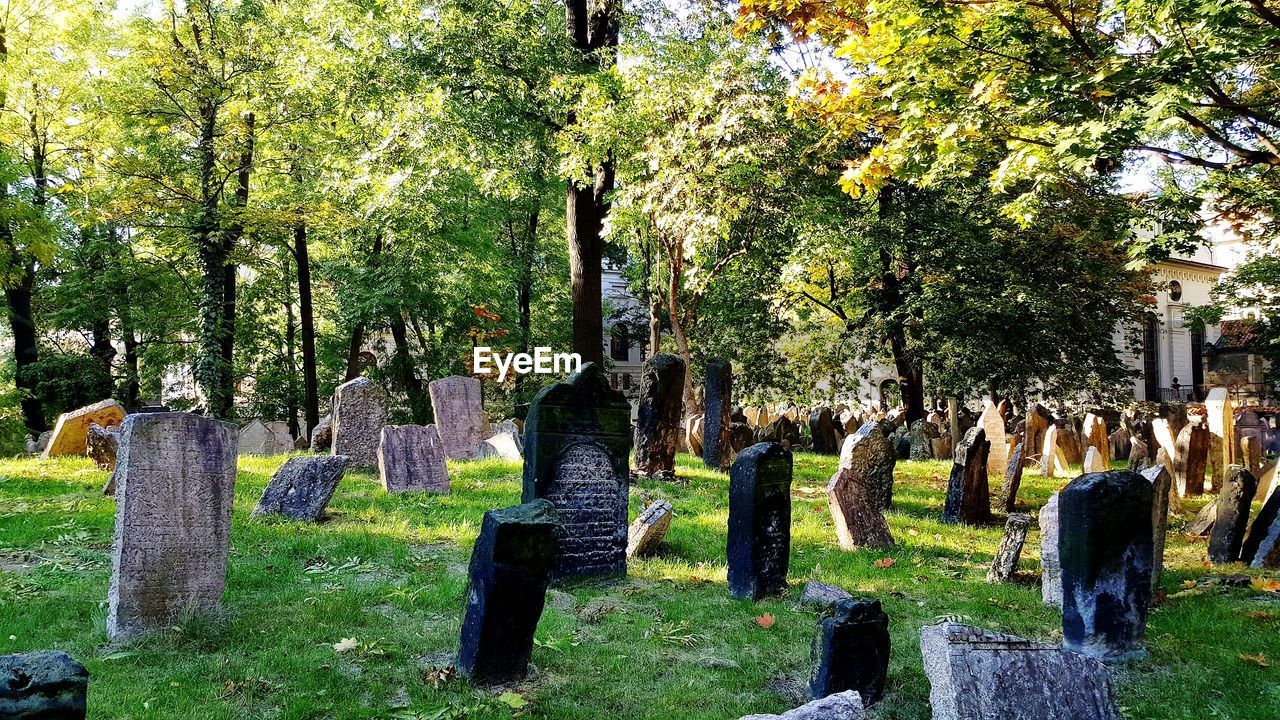 CEMETERY IN PARK