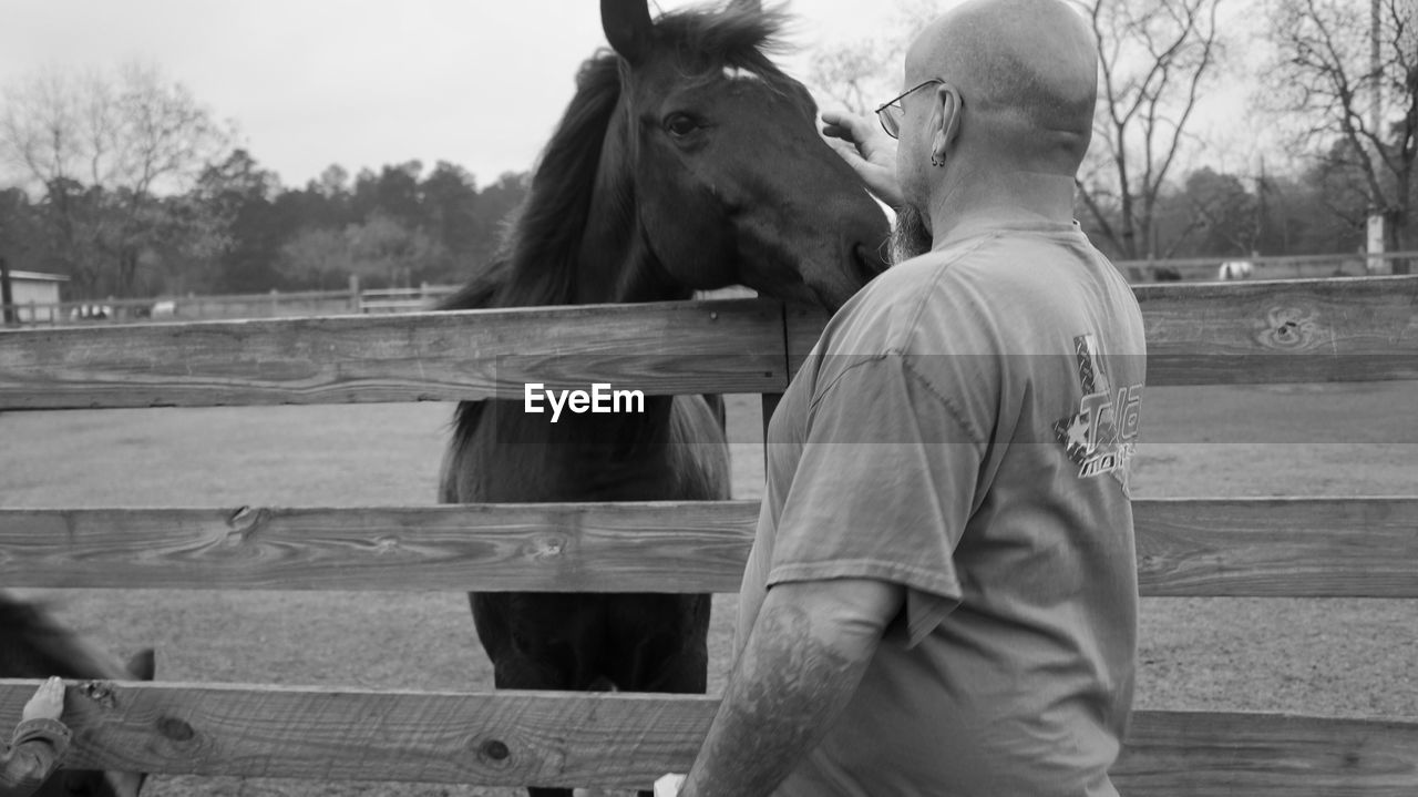 Man standing near horse on farm