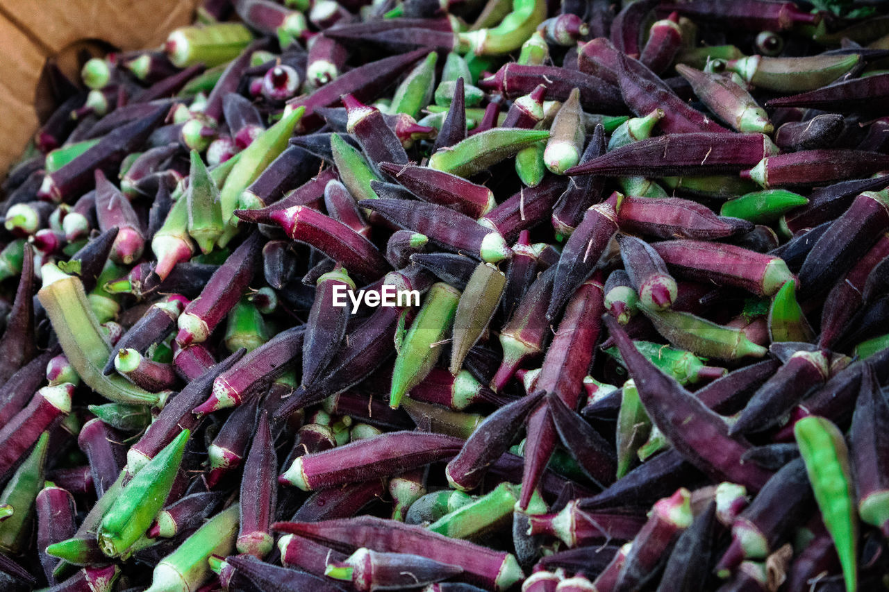 FULL FRAME SHOT OF FRESH GREEN CHILI PEPPERS