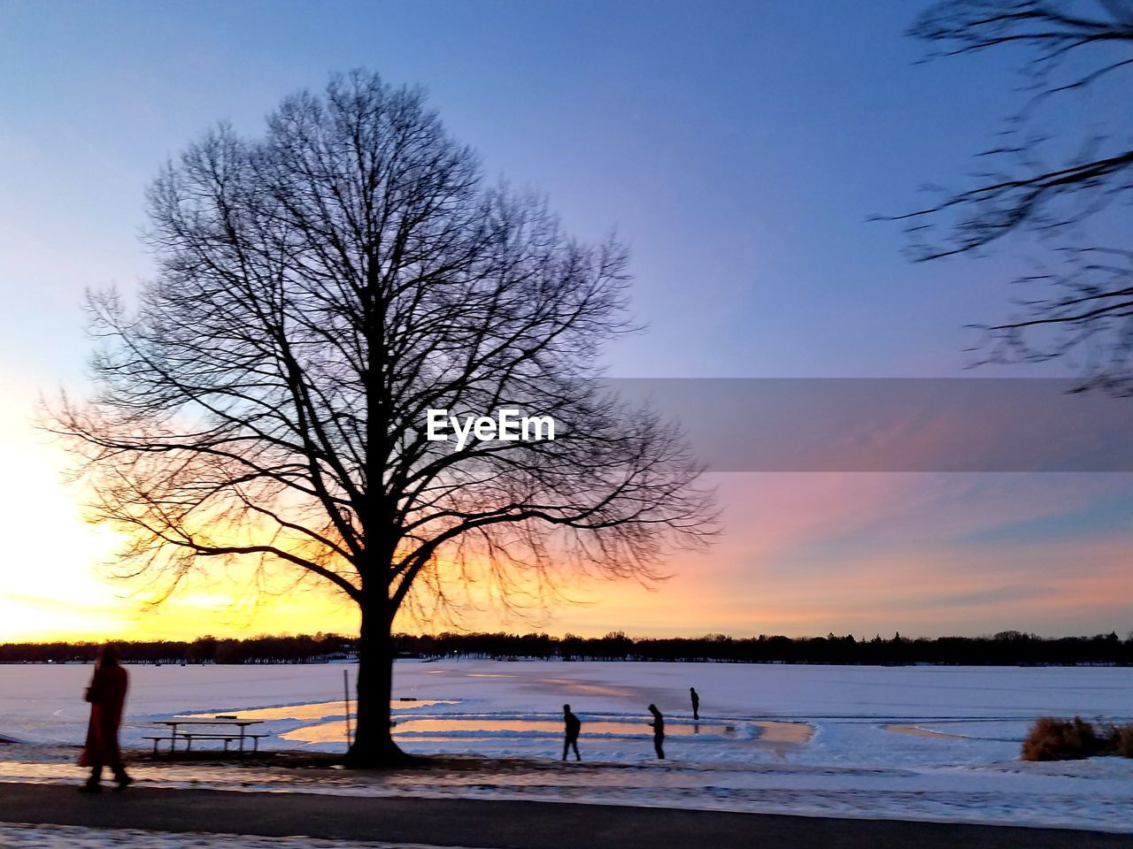 SILHOUETTE BARE TREE BY FROZEN LANDSCAPE AGAINST SKY DURING SUNSET