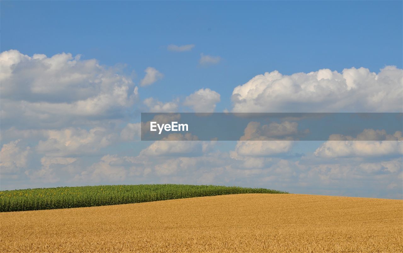 View of agricultural field against sky