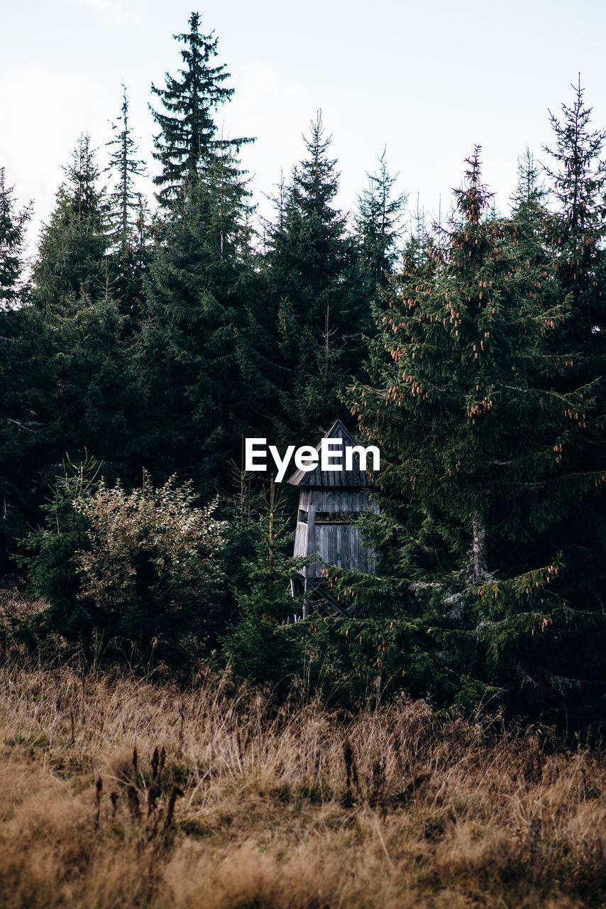 HOUSE AMIDST TREES AND PLANTS GROWING ON FIELD