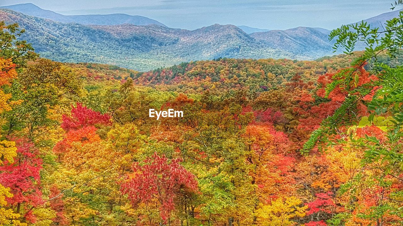 SCENIC VIEW OF MOUNTAINS
