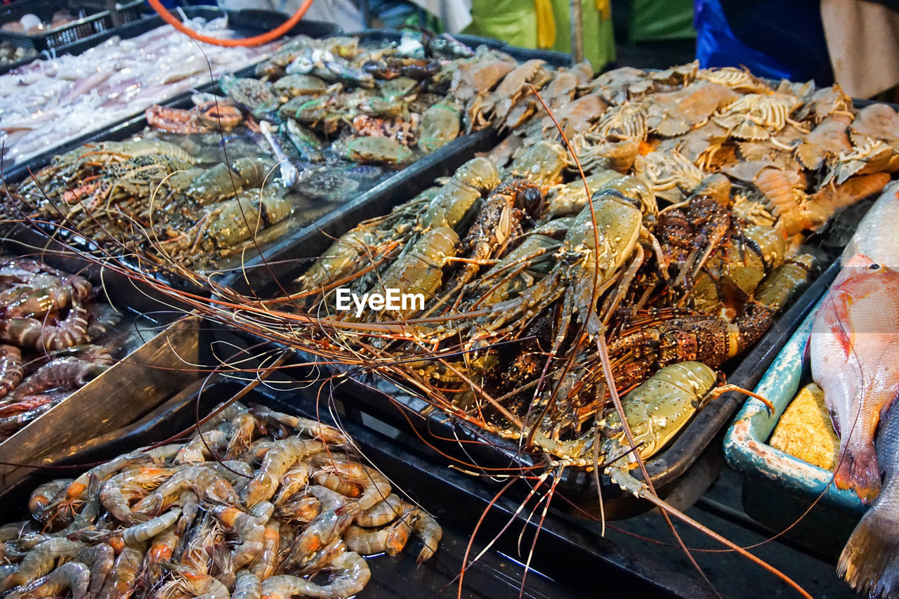 Close-up of lobsters for sale in market