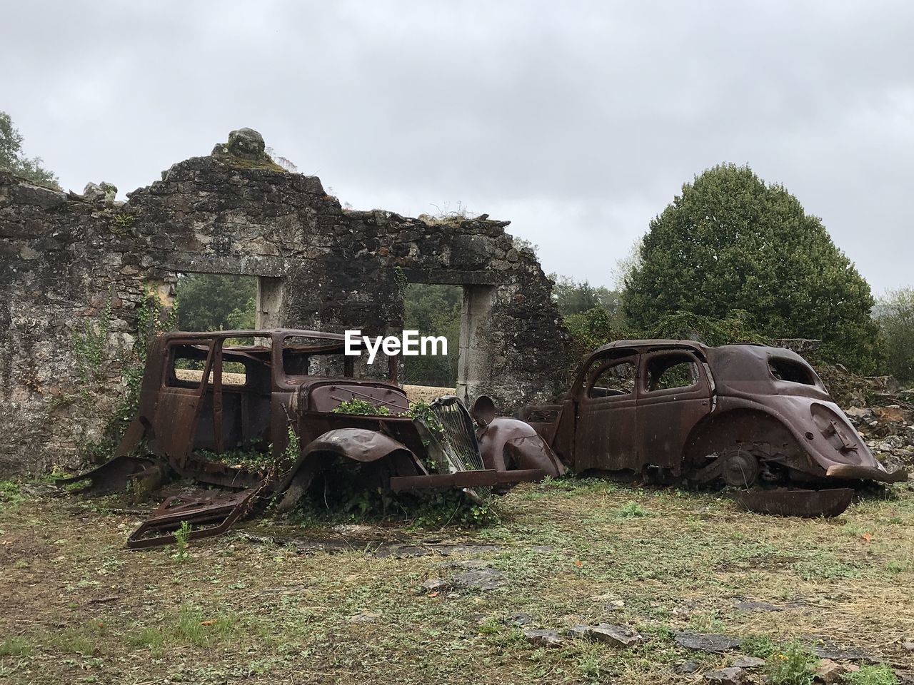 ABANDONED CAR ON FIELD