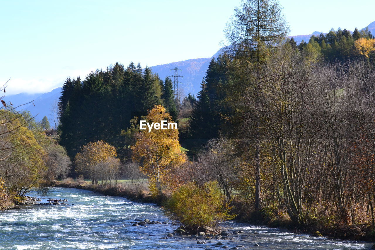 Scenic view of river by tree during autumn