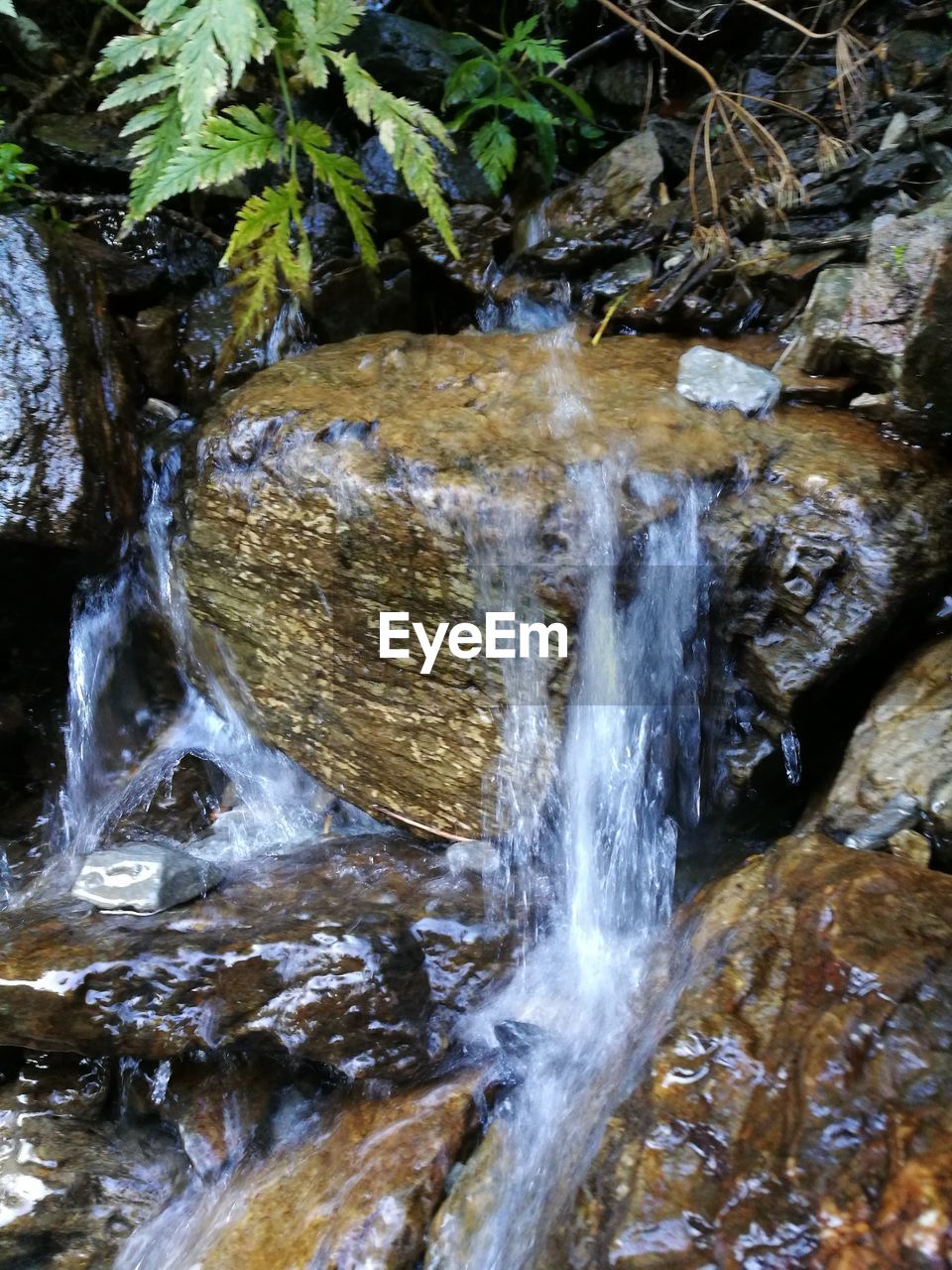 WATERFALL IN FOREST